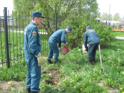 Министр МЧС объявил акцию "Посади дерево" Министр МЧС объявил акцию "Посади дерево"