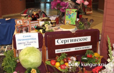  XIX       2015
